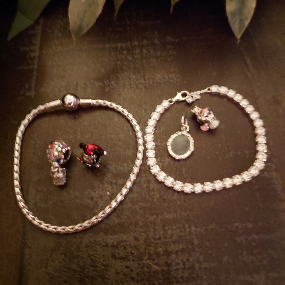 Pandora Silver Charm Bracelets